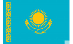 Drapeau Kazakhstan (5x3.3cm) - Autocollant(sticker)